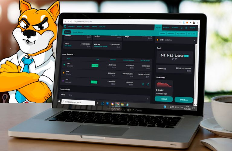 Dónde y Cómo Comprar Shiba Inu (SHIB) Precio del SHIB ahora mismo