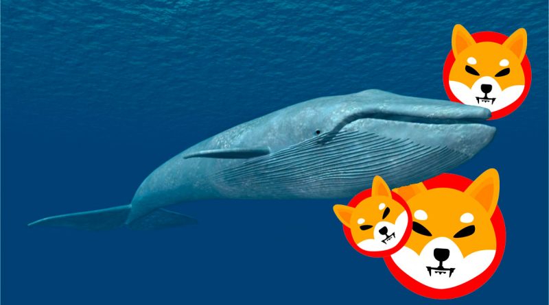 Shiba Inu, el token más popular entre las ballenas ETH