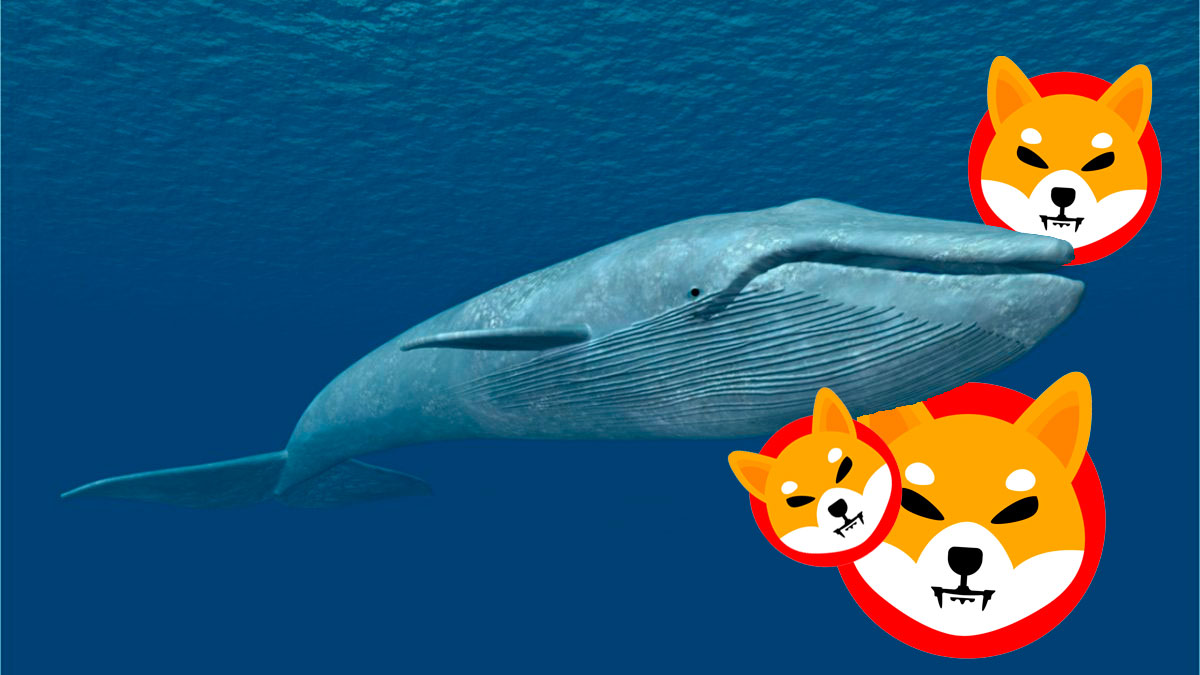 Shiba Inu, el token más popular entre las ballenas ETH