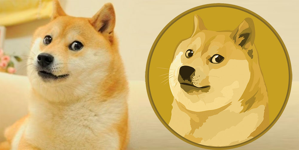 Kabosu la perrita meme del Dogecoin